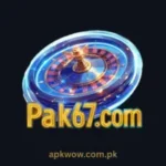 Pak67 Game